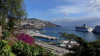 sea, waters, coast, travel, port, madeira, funchal, cruise ship, holiday cruise