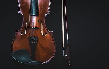 bowed instrument, violin, classical music, bowed stringed instrument, instrument, musical instrument, shining, string instrument, strings, viola, violin bow