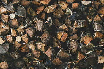 logs, log, fire, firewood, fire wood, wood, sticks, branches, warm, fall, campfire