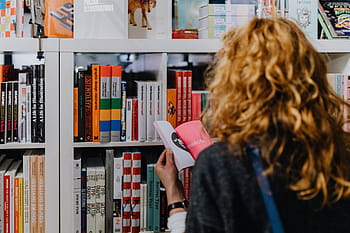 banyak, buku, toko buku, baca, studi, sastra, pengetahuan, rak, pembaca, perpustakaan, toko
