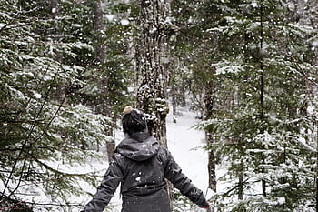 la neve, nevicando, freddo, inverno, all'aperto, foresta, boschi, alberi, natura, ragazza, donna