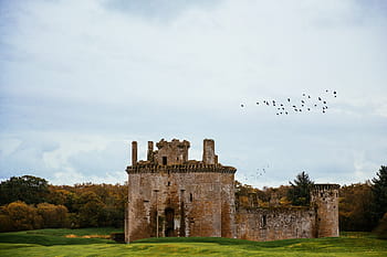 ptáků, létající, caerlaverock hrad, nachází se, jižní, pobřeží, Skotsko, architektura, hrad, dědictví, historický