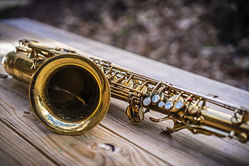 saxofon, jazz, hudba, nástroj, mosaz, hudební, saxofonista, hudebník, zvuk, zlatý