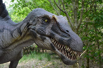 dinosaurus, dino, masožravých dinosaurů, dino-park, wedde, Nizozemí, Holandsko, zábavní park, pravěku, dravec, plaz