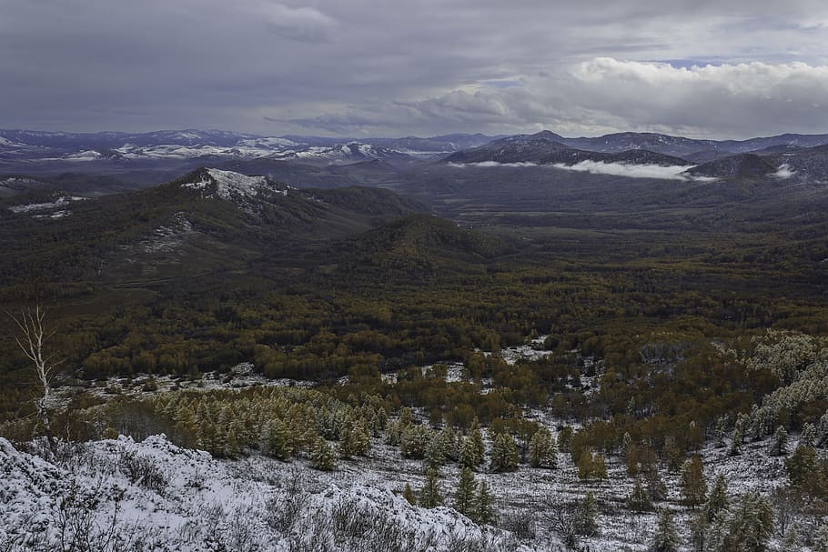 pine, efi, birch, forest, snow, winter, mountains, landscape, nature, autumn, kuyagan