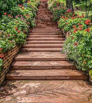 steps, garden, chiang mai, botanical gardens, pathway, path, architecture, green, stairs, park, outdoor