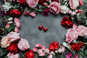 komposisi bunga, bunga, mawar, flora, ruang salin, indah, latar belakang, colorfull, pink, merah, valentine