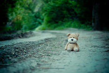 toy, teddy bear, road, childhood, cute, nature