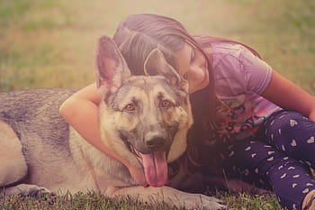 dog, child, german shepherd, love, animal, pet, puppy, kid, family, friendship, trust