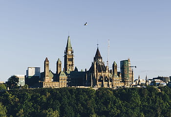 κοινοβούλιο, ορόσημο, ottawa, Καναδάς, κυβέρνηση, αρχιτεκτονική, πόλη, ουρανός, μπλε, λιακάδα, πουλί