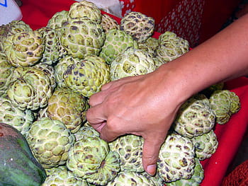 custard apples, sale, thai market, cus, tard apple, fruit, exotic, noi na, thailand, thai, juicy