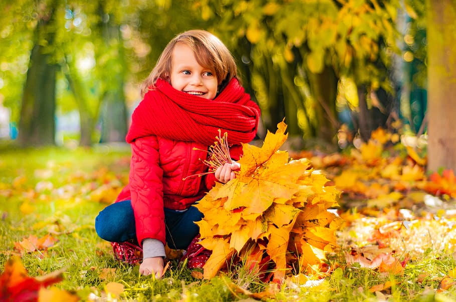 outono, crianças, felicidade, alegria, passeio, bebê, sorriso, parque, menina, amor, pessoa