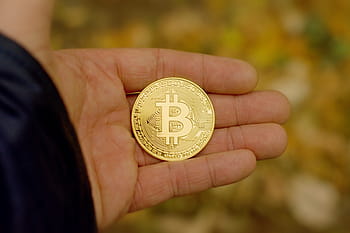 Bitcoin, cryptocurrency, mønter, virtuel, digital, finansiel, udveksle, internet, betalinger, guld, investering
