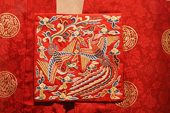 鳥、 花、 衣類、 刺繍、 韓国、 伝統的な、 ドレス、 ファッション、 韓国語、 綺麗な、 シルク