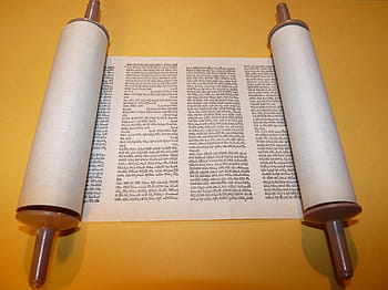 bible, torah, písmo, svitek, číst, dokument, synagoga, hebrejština, text, rezervovat, literatura
