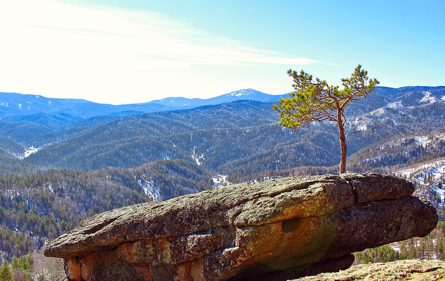 pine, stone, rocks, mountains, cyanosis, snow, winter, clouds, forest, belokurikha, altai