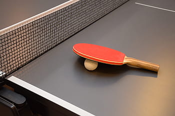 stolní tenis, ping pong, stůl, netopýr, sportovní, hra, síť, bílý, šedá