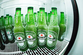 heineken in fridge, beer, beer bottle, beverage, bottle, bottles, cold, drink, fridge, green, heineken