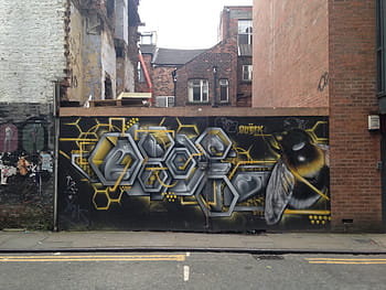 ape, opera d'arte a nido d'ape, cartelli di siti, tib street, Manchester., Manchester, Favo, arte di strada, graffiti, murale, quartiere settentrionale