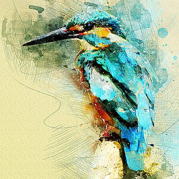 カワセミ、 鳥、 野生動物、 マクロ、 閉じる、 肖像画、 カラフル、 色、 綺麗な、 手足、 ブランチ