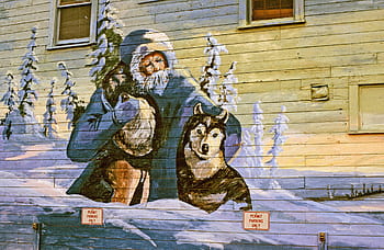 pittura murale, vecchio, uomo, Due, cani da slitta, parete, arte, artista, colorato, decorazione, cane