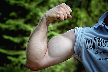 muskler, legeme, bicep, strøm, tung, gym