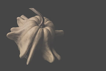 black and white, halloween, halloween pumpkin, orange, orange color, pumpkin, season, seasonal, autumn, food, vegetable