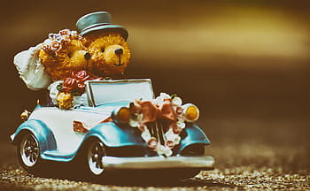svatba, medvěd, čísla, legrační, pozvání, blahopřání, slavit, auto, zdobené, nevěsta a ženich, roztomilý