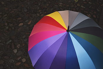 umbrella, rainy, day, various, bright, color, colors, colour, colours, rain, rainbow