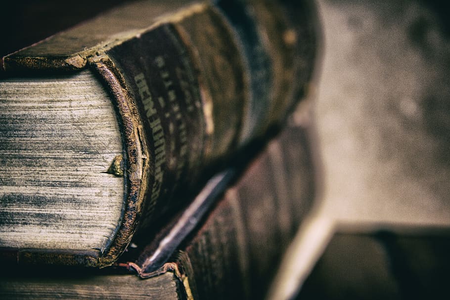 rezervovat, knihovna, informace, technologie, čtenář, literatura, stránka, data, jsem student, regály, škola