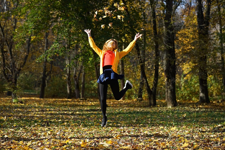 saltare, le foglie, autunno, nella caduta di, paesaggio, parco, fogliame, umore, gettando le foglie, colorato, atmosfera