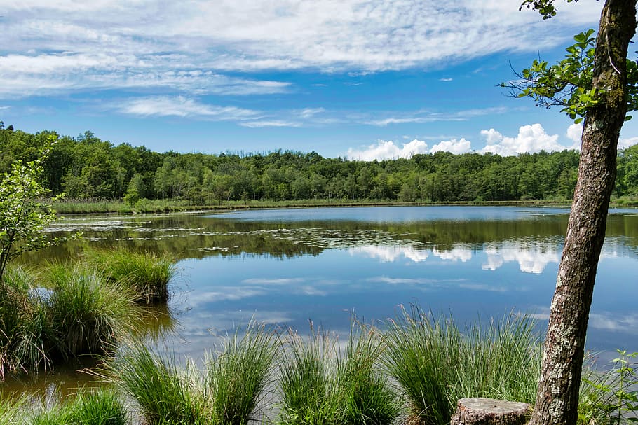lago, natura, Italia, paesaggio, laghi, acqua, tramonto, montagna, sul lago, costa, corpo d'acqua
