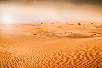 desert dunes, emirates, sand dunes, desert landscape, arid environment, Middle East desert, natural sand formations, desert scenery, dune patterns, desert photography, emirates desert
