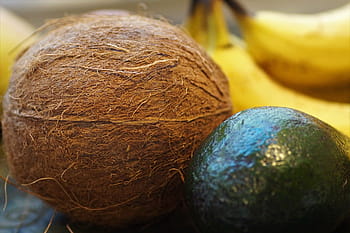 coconut, walnut, tropical, exotic, fruit, hard, peel, brown, fibers, shell