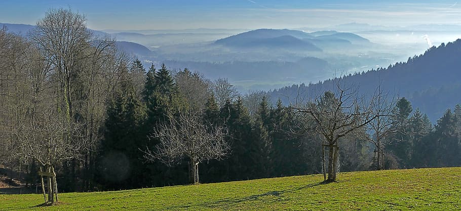 krajina, Příroda, kopec, mlha, údolí, světlo, slunce, stromy, les, švýcarsko, aargau