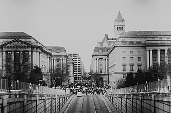 lidé, muž, žena, protest, shromáždění, rovnost, trumf, feministka, zmocnění, sjednotit, Černý a bílý