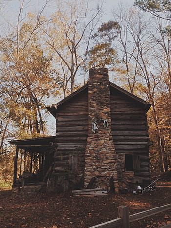 nature, trees, autumn, house, home, woods, stones, chimney