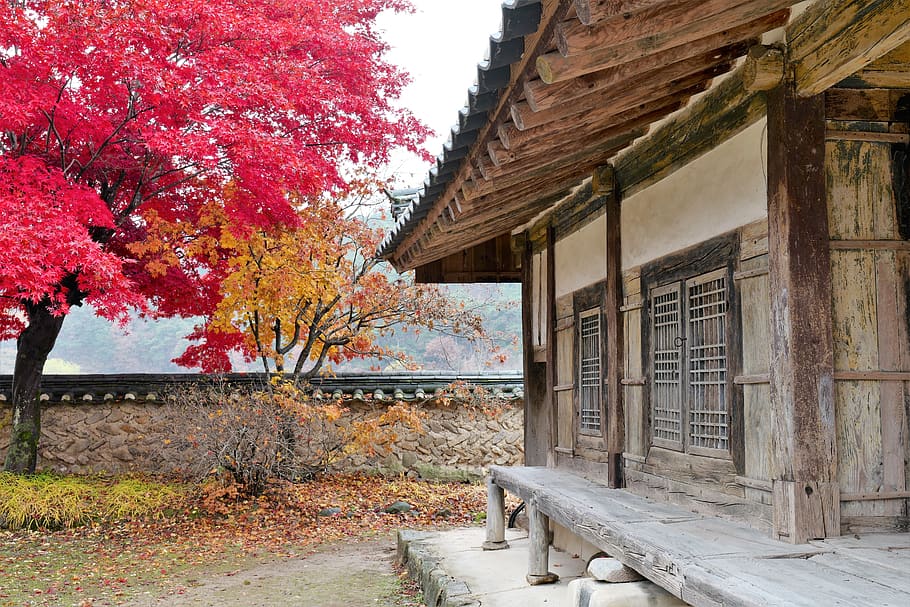 Korea, chrám, sekce, buddhismus, krajina, cestovat, cestovní ruch, náboženství, Korejská republika, hora, mnich