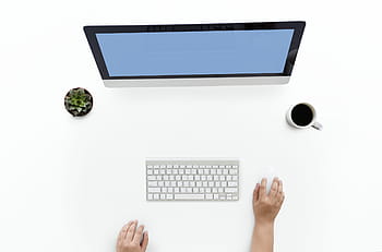 bedrijf, koffiekop, computer, gegevens, bureau, desktop, flatlay, handen, kamerplant, informatie, toetsenbord