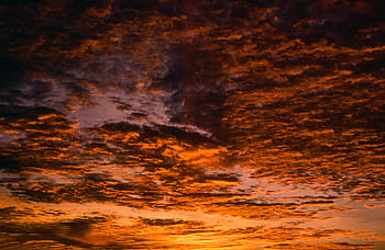golden, sunrays, clouds, sunset, blue, bright, cloud, horizon, landscape, light, morning