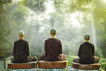 theravada buddhizmus, apácák, elmélkedés, szerzetesi, vallás, apáca, sayalay, lelki, buddhista, lelkiség, béke