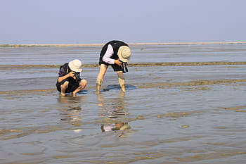 photography, photographers, shooting, photographer, ex 4, nature, tidal, mud, sand, photographing, mud flat
