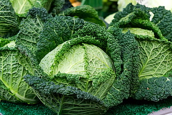 savoy, kohl, zelenina, Kadeřávek, vitamíny, jídlo, jíst, hlávkové zelí, zelená, zelí, trh