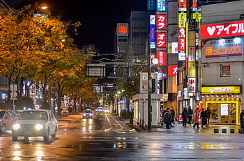 night city, japan sapporo, city, urban, night, cityscape, building, architecture, sky, downtown, landscape