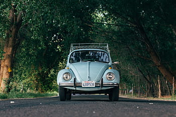 automobil, automobilového průmyslu, auto, klasický, silnice, cestovat, stromy, vozidlo, volkswagen, volkswagen brouk, vw