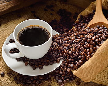 káva, espresso, pohár, horký, nápoj, napít se, cappuccino, kofein, hnědý, latte, šálek kávy