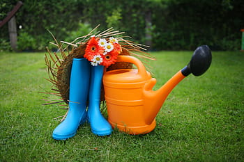 zahrada, zahradní nářadí, gerbera, kytice, trávník, kropící konev, zeleninová zahrada, dacha, gumové holínky, slaměný klobouk, květiny