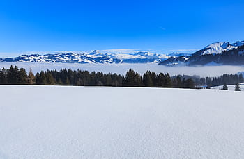 Switzerland, Alps, Swiss Alps, nature, landscape, winter, wintertime, view, Stoos, Schwyz, spruce