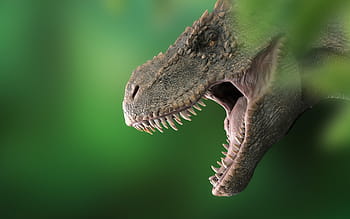 dinosaurus, tyrannosaurus, dino, t rex, rex, prasejarah, predator, jura, monster, reptil, karnivora