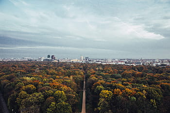 city, backdrop, fall forest, cloudscape, architecture, cityscape, fall, landscape, park, path, red